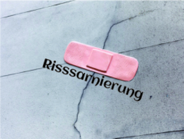 Risssarnierung